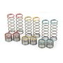 1/10 Rear Spring Assortment for PRO635901